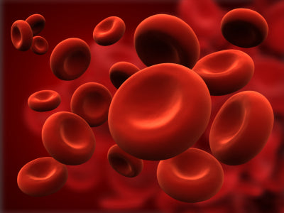 AM I IN DANGER OF A BLOOD CLOT?